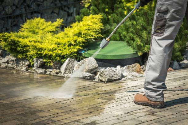 Best Spring Cleaning  in Princeton, FL